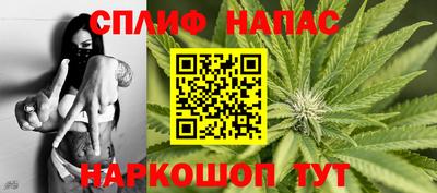 дмт Дубна