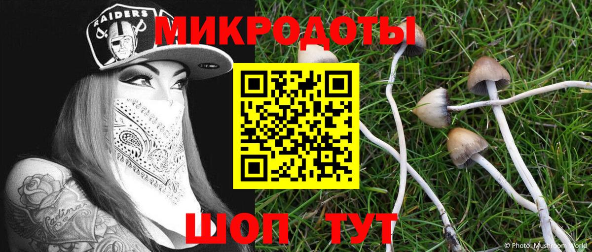 Псилоцибиновые грибы Psilocybine cubensis Зеленогорск