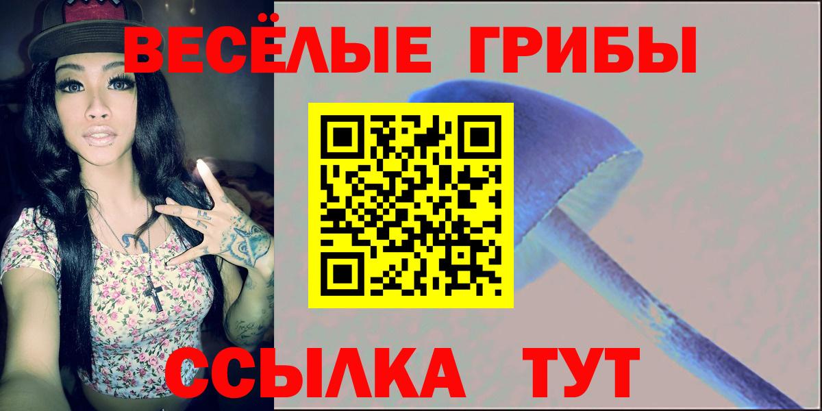 Галлюциногенные грибы мухоморы  Вход с VPN  Зеленогорск  Галлюциногенные грибы MAGIC MUSHROOMS 