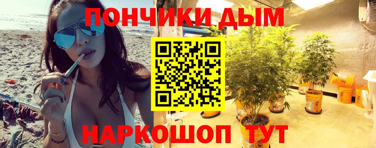 Шишки марихуана OG Kush Зеленогорск